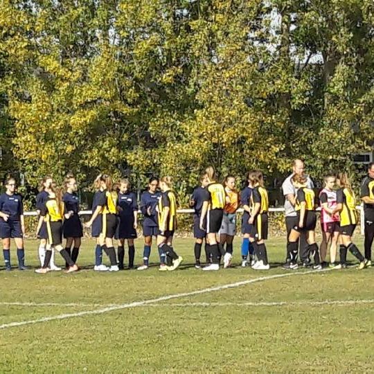 43354562_543989766071303_4868042720720977920_n