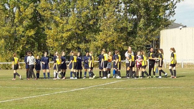 43354562_543989766071303_4868042720720977920_n