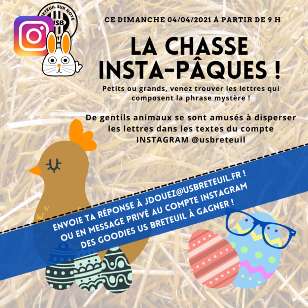 Chasse instapâques (5)